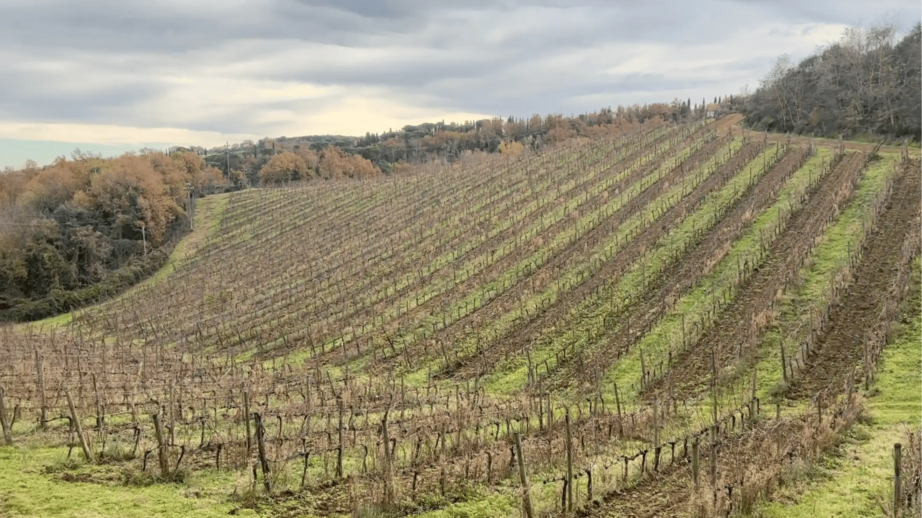 Шато де Димон